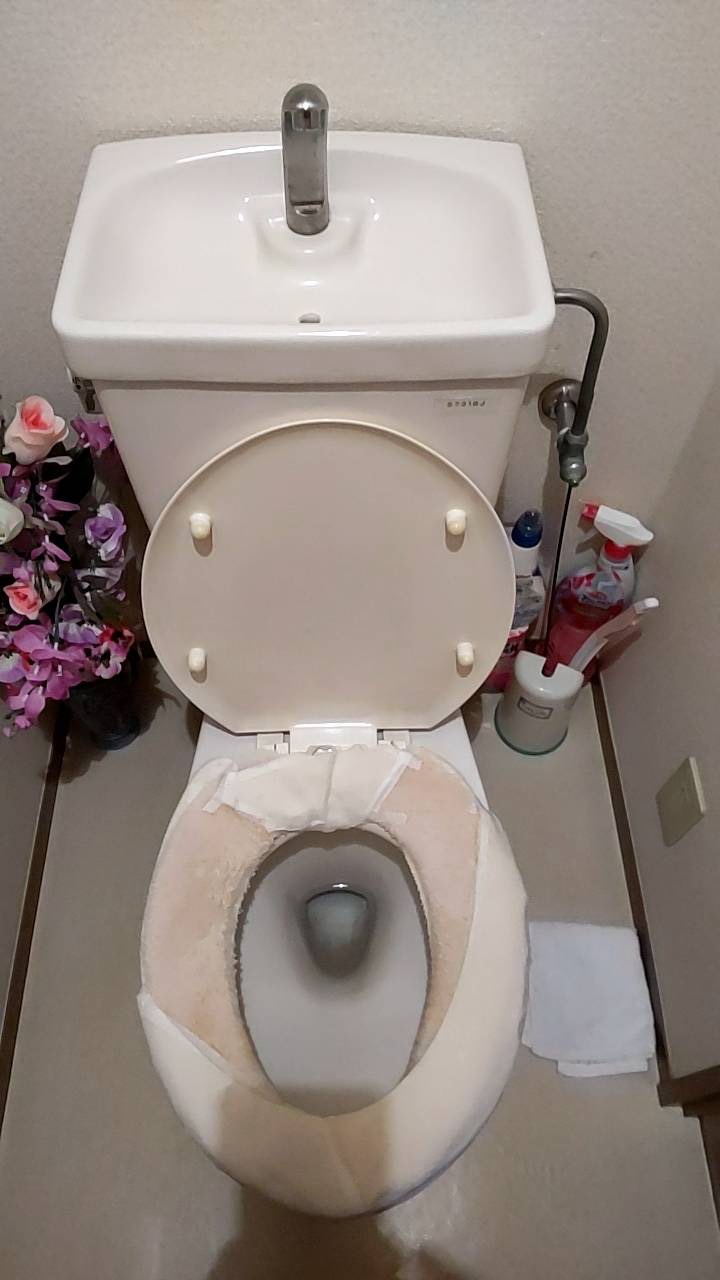 施工前　トイレ